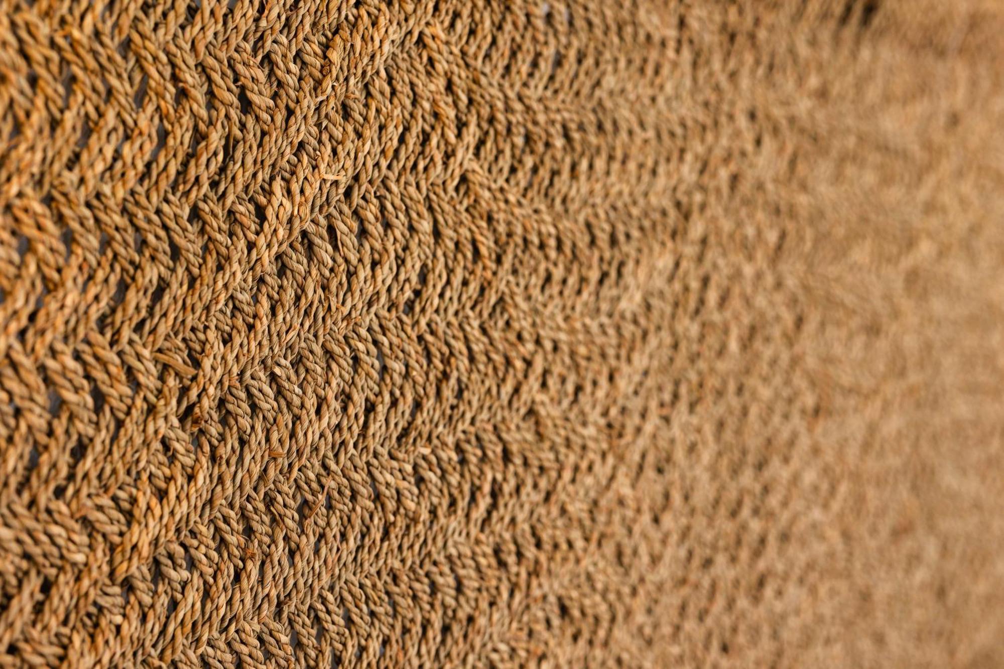 Flisvos Beach Studios Naxos City Buitenkant foto